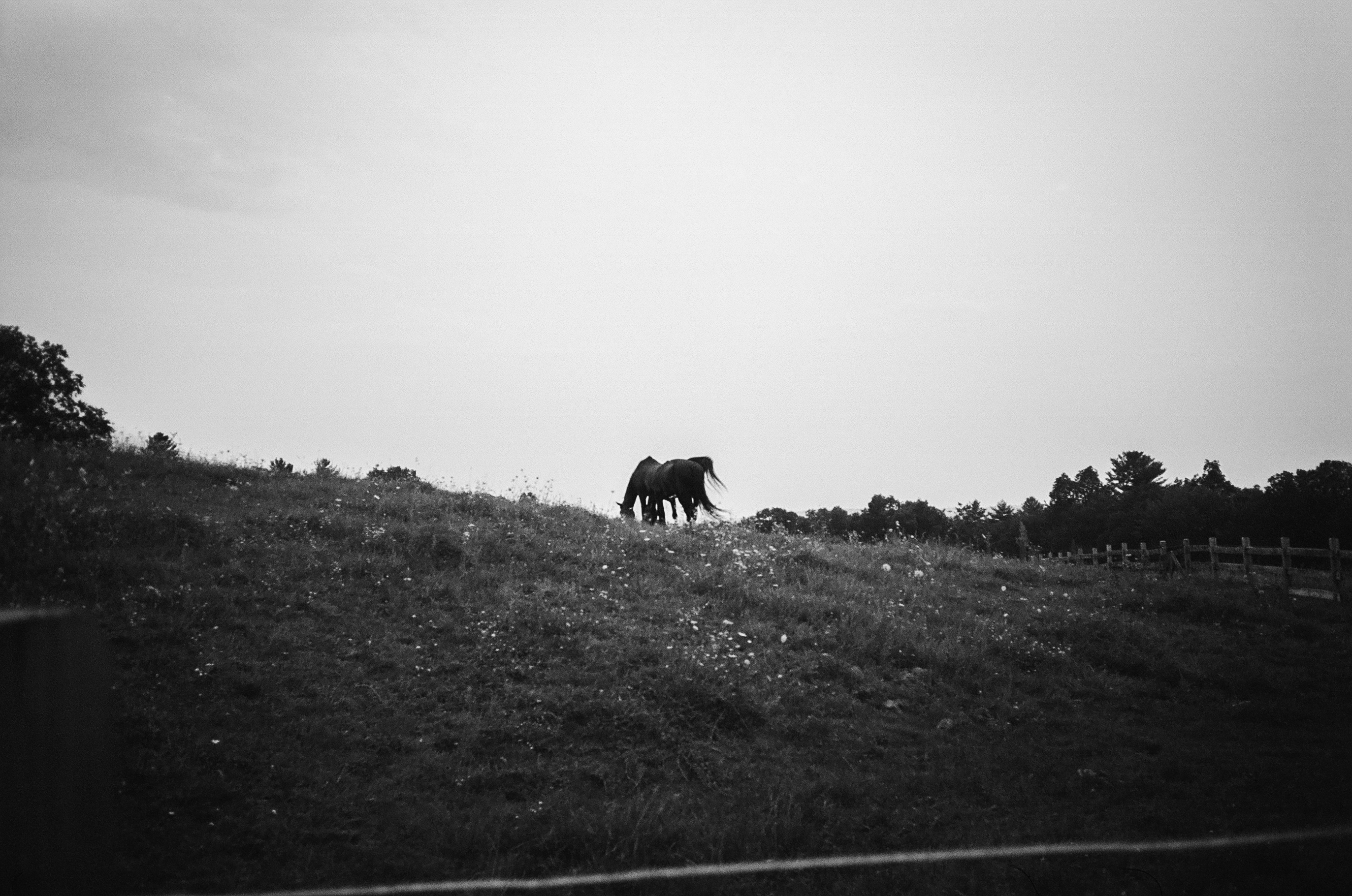 Miscellaneous, Personal — image 2