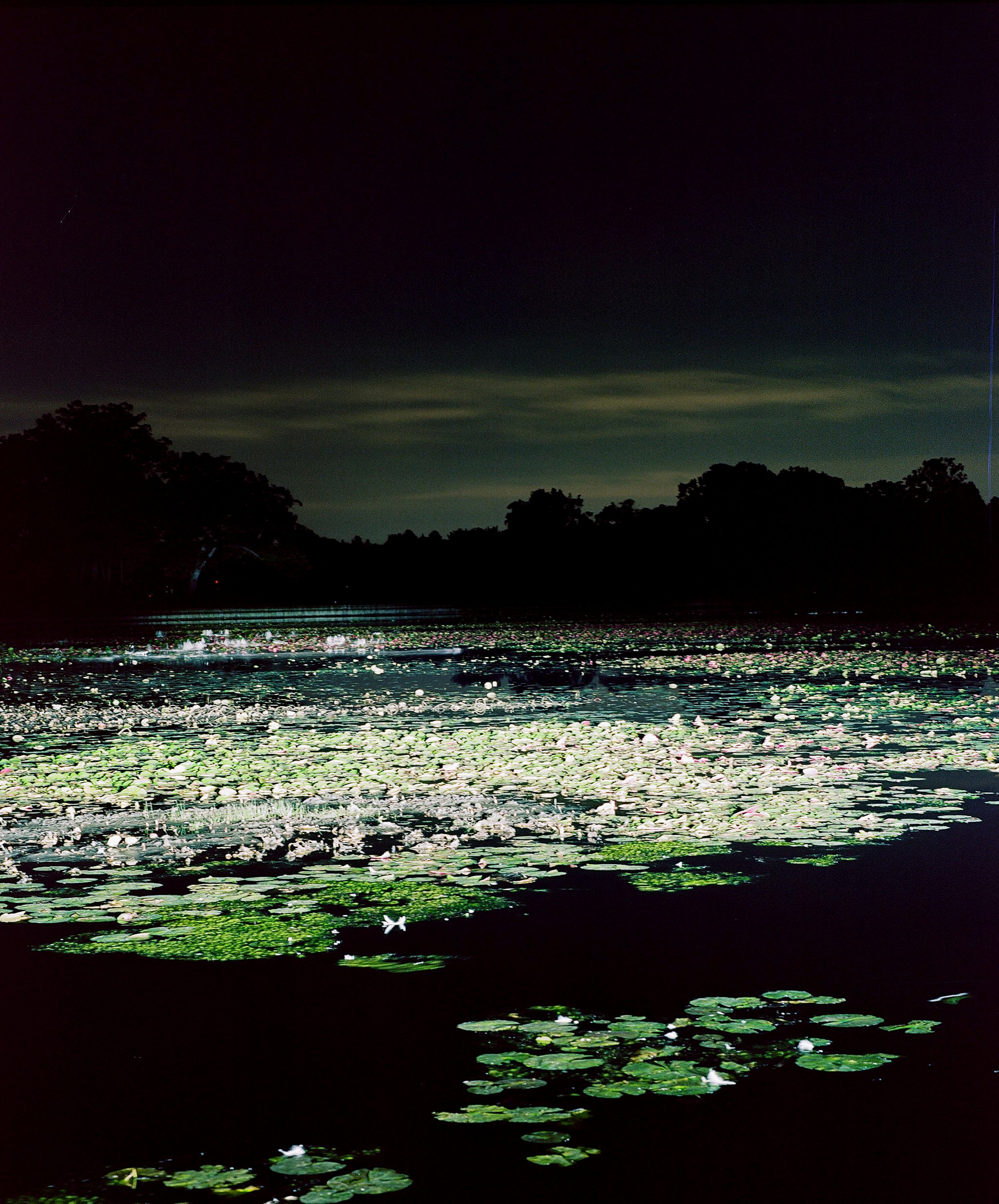 Miscellaneous, Personal — image 29