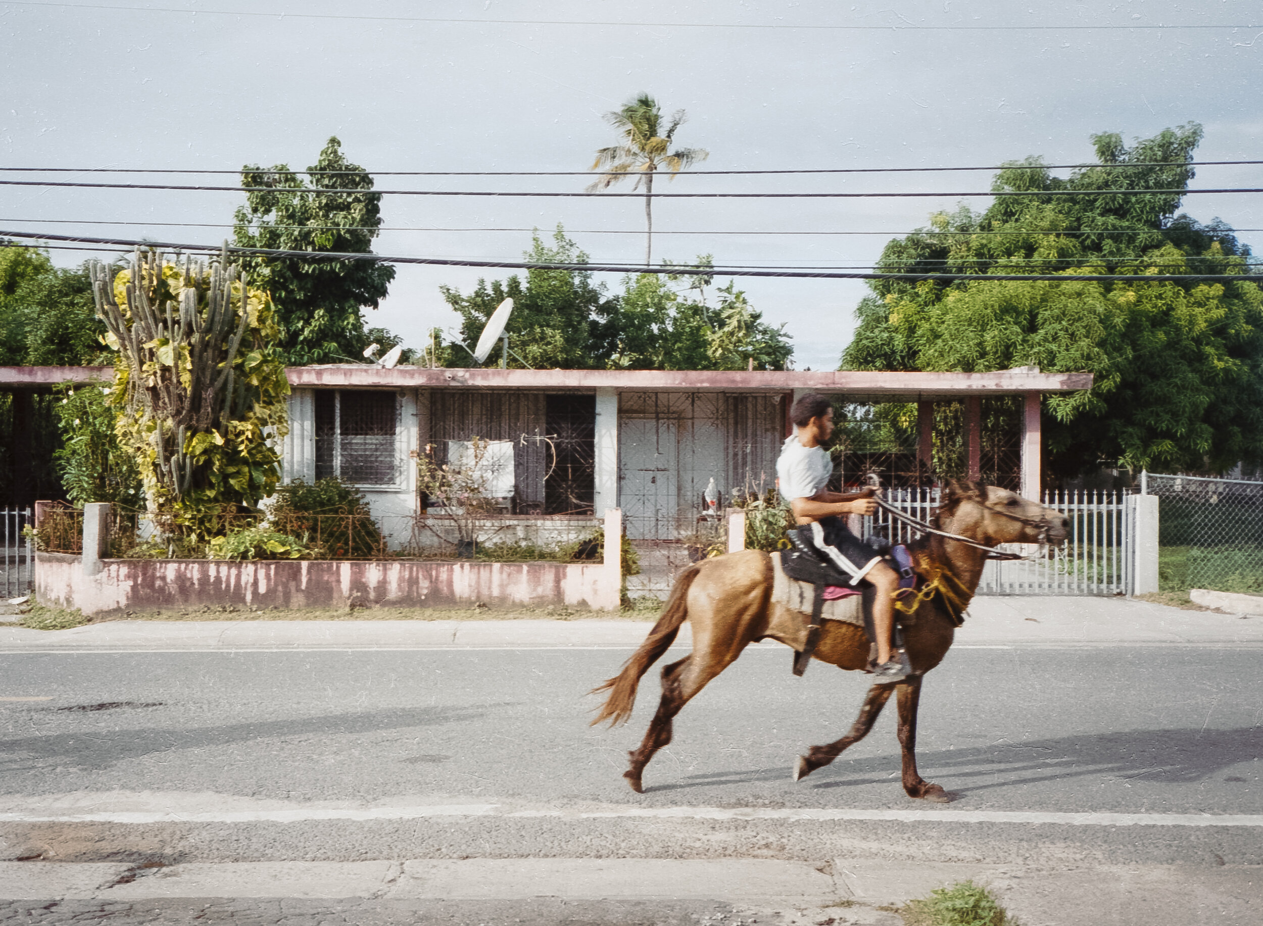 Vieques, Personal — image 1