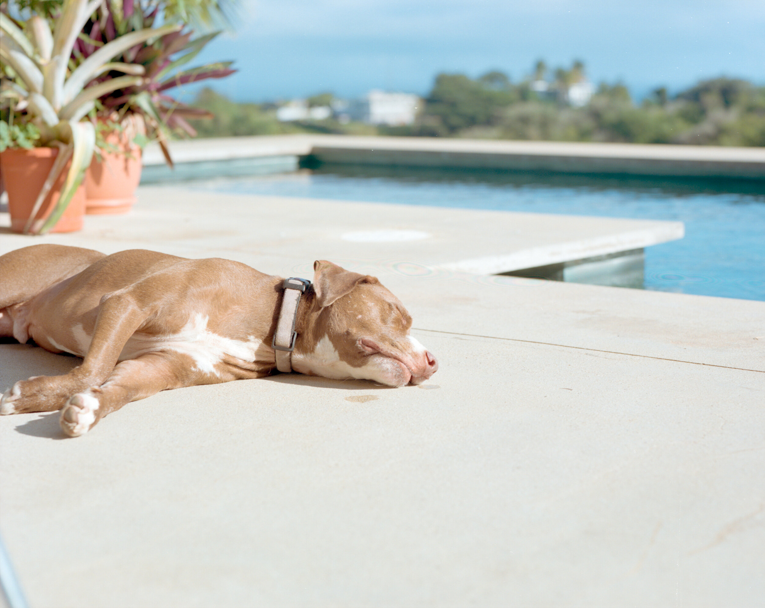 Vieques, Personal — image 12