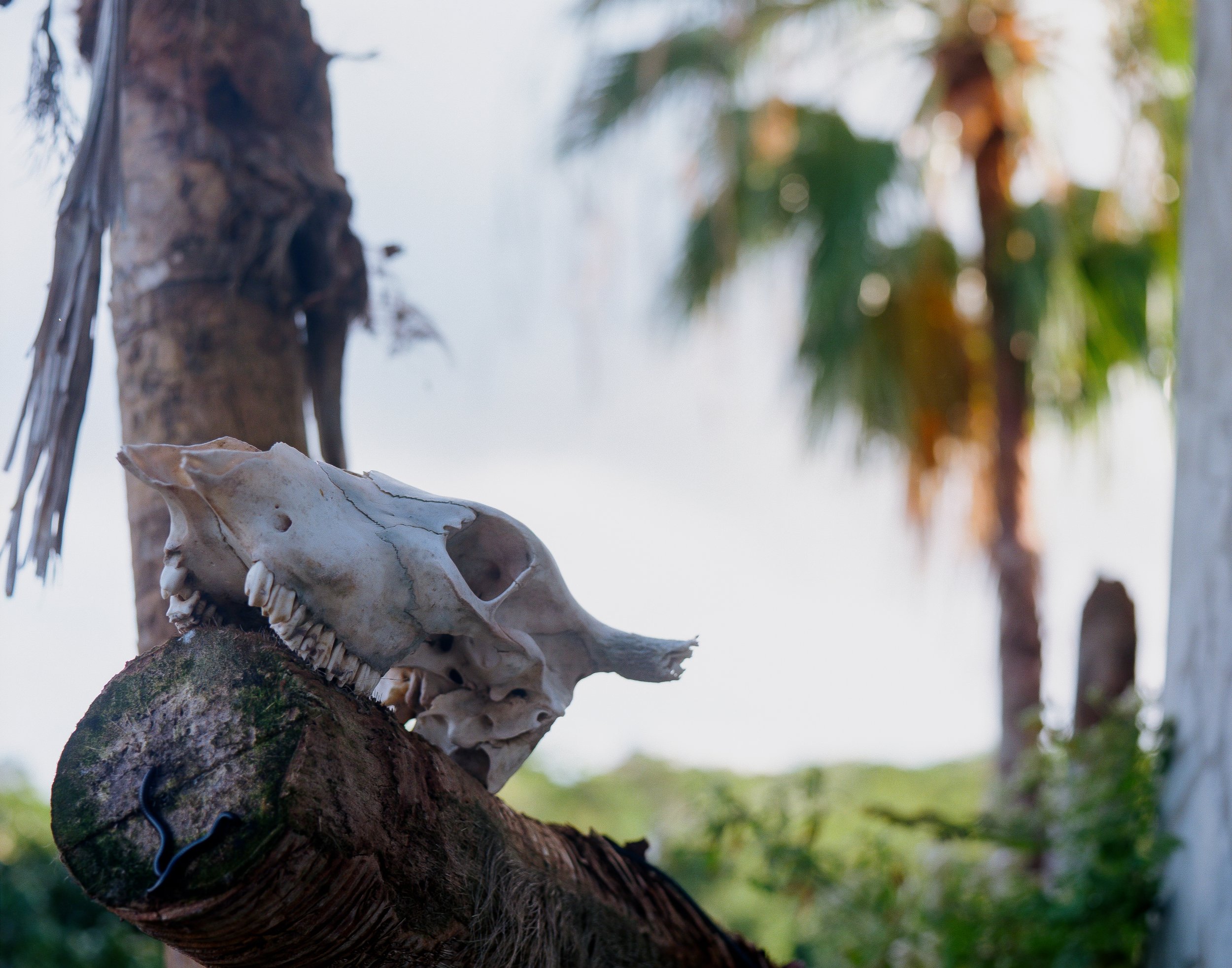 Vieques, Personal — image 14