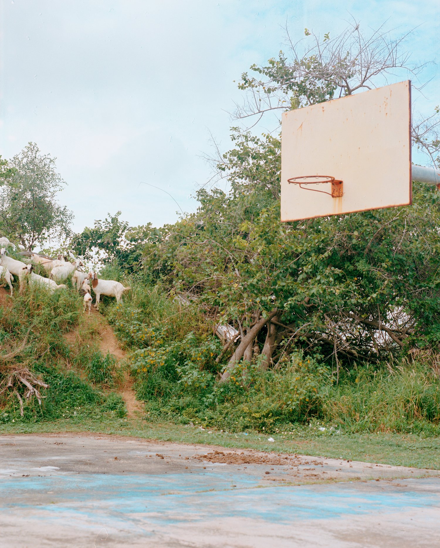 Vieques, Personal — image 19